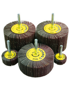 Stemmed flap disc 60x30x6, gr.40