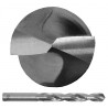 Drill bit 00.35 DIN 338RCZ001HSSAX Polished