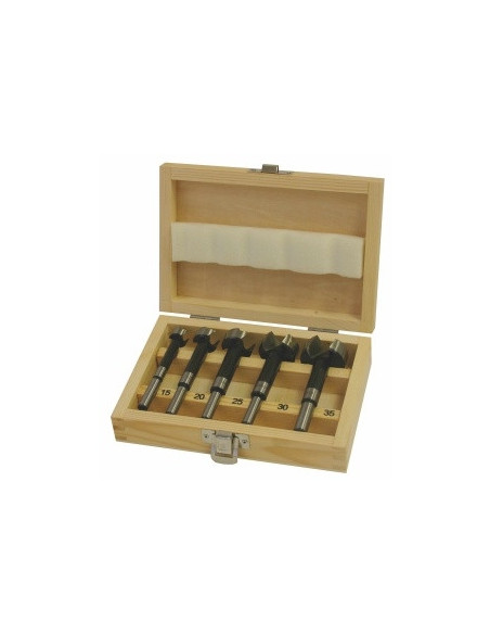 Set of Forstner drill bits CV, 5 pcs (15, 20, 25, 30, 35 mm)