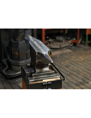 Kovadlina dvourohá 200kg