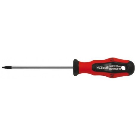 Screwdriver, square R0/100 mm profi